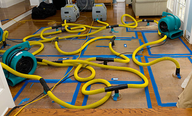 Professional Crawl Space Water Removal technician working in Jackson, NH